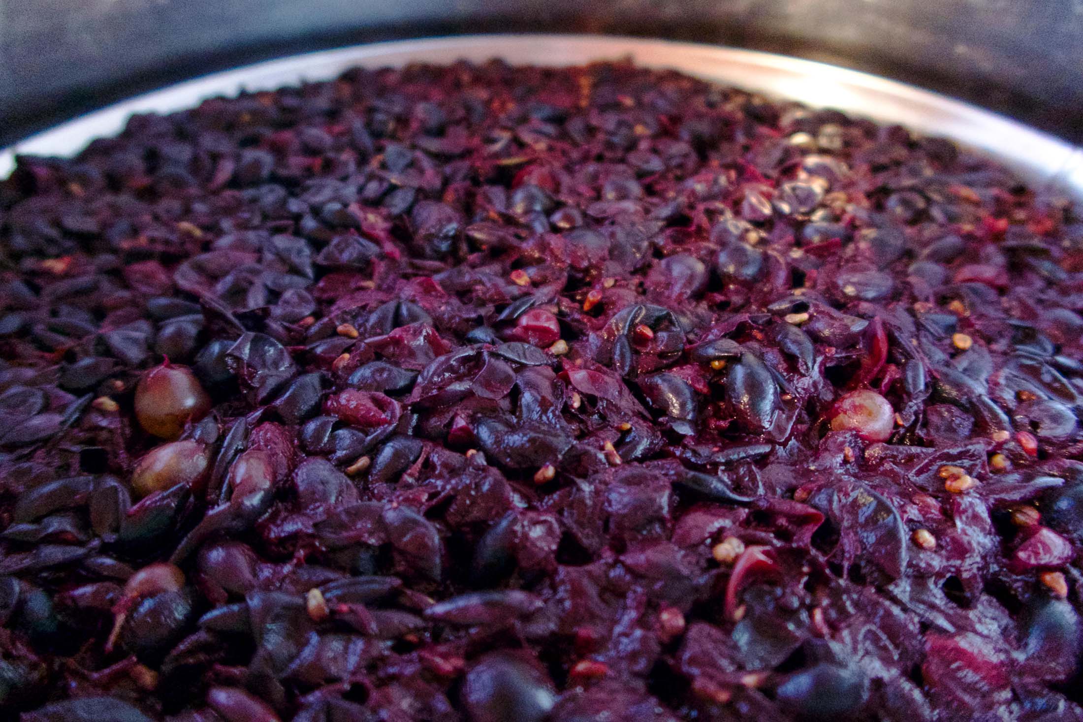 A natural wine Hugo is fermenting for future beer blends