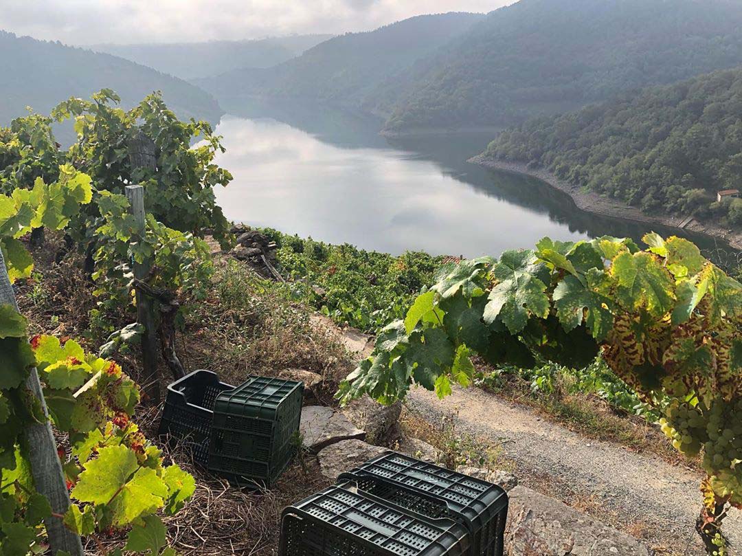 The Ribeira Sacra