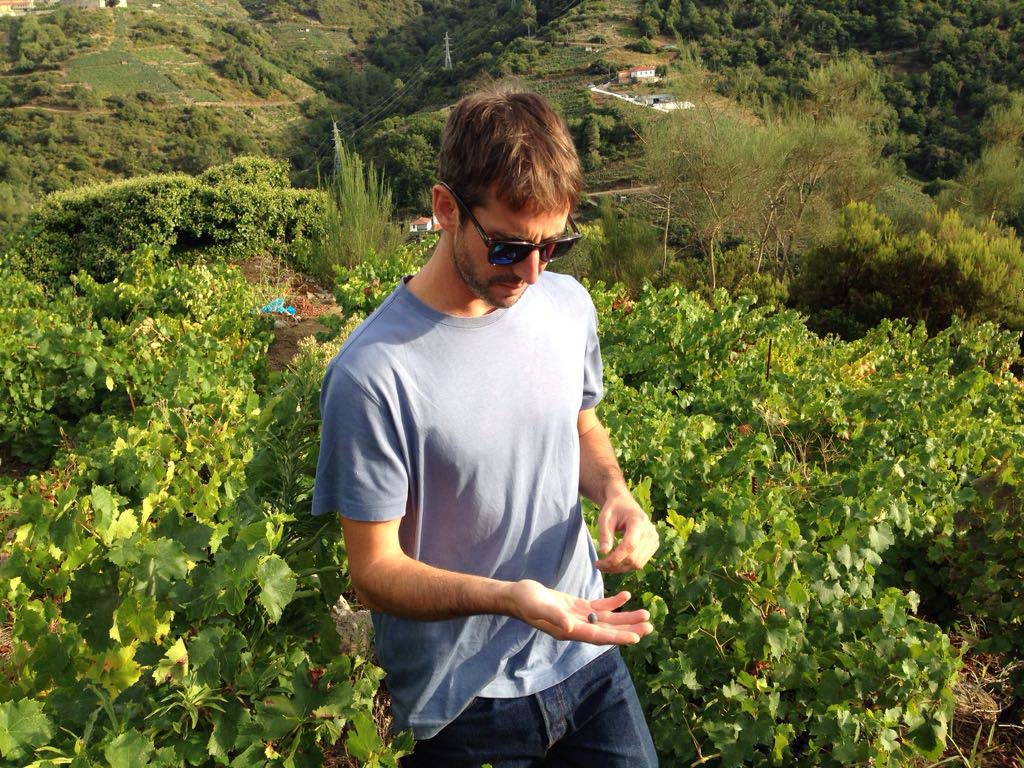 Zak Elfman in the Ribeira Sacra